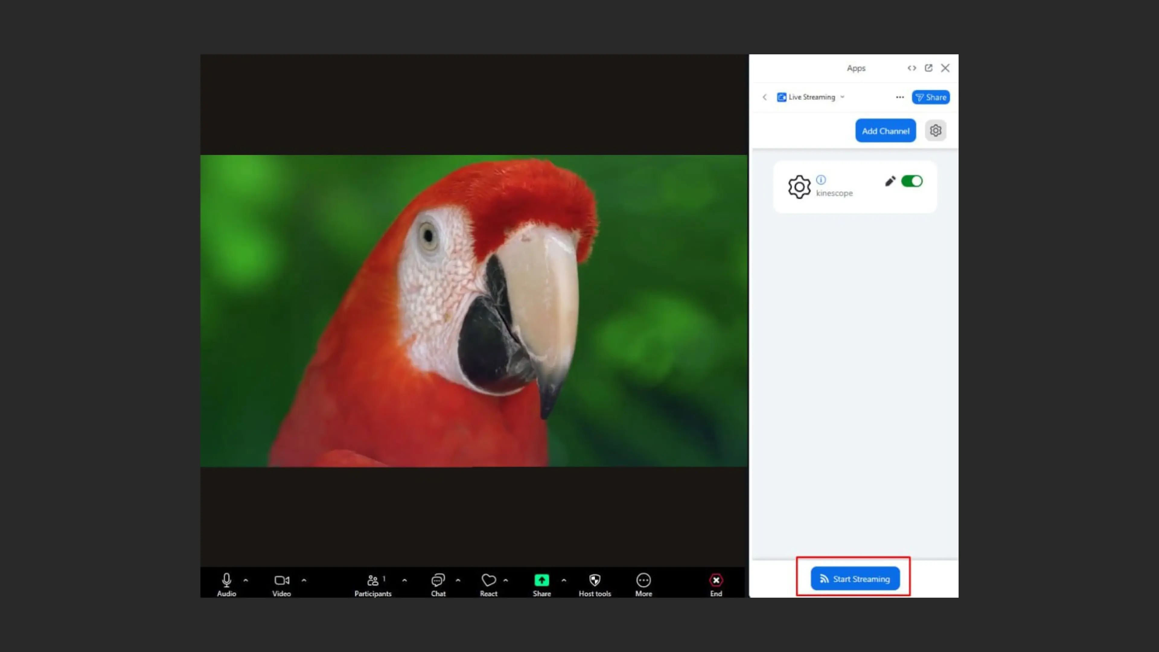 Запуск трансляции в Zoom