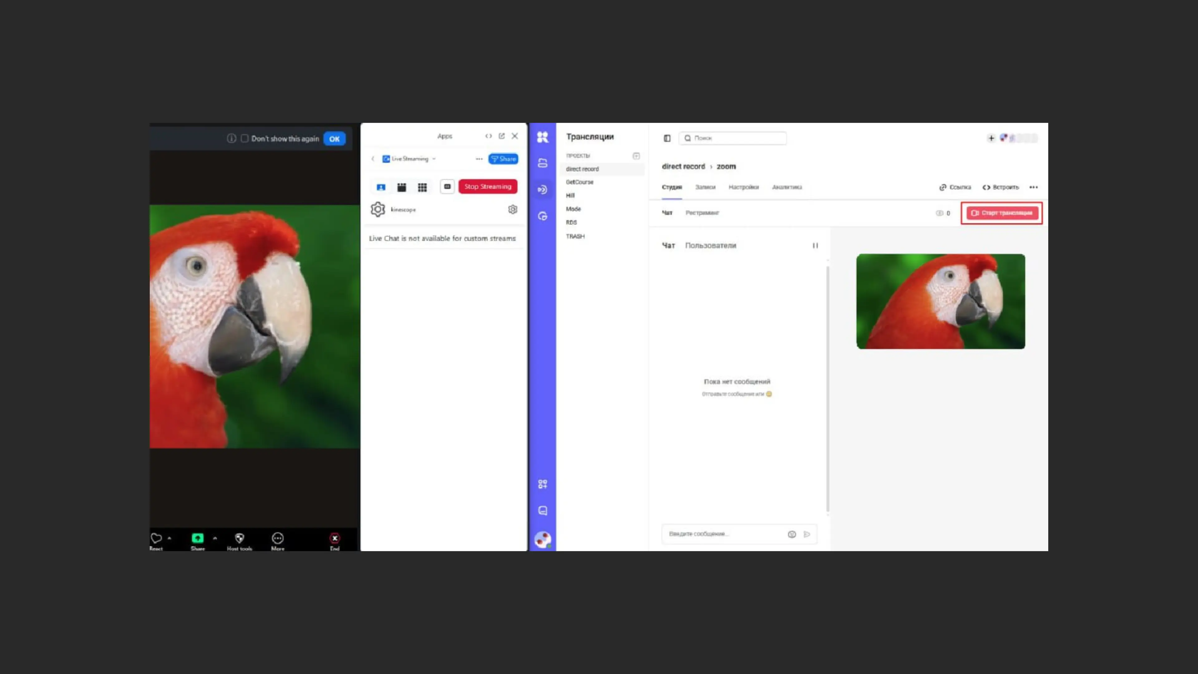 Трансляция в Kinescope