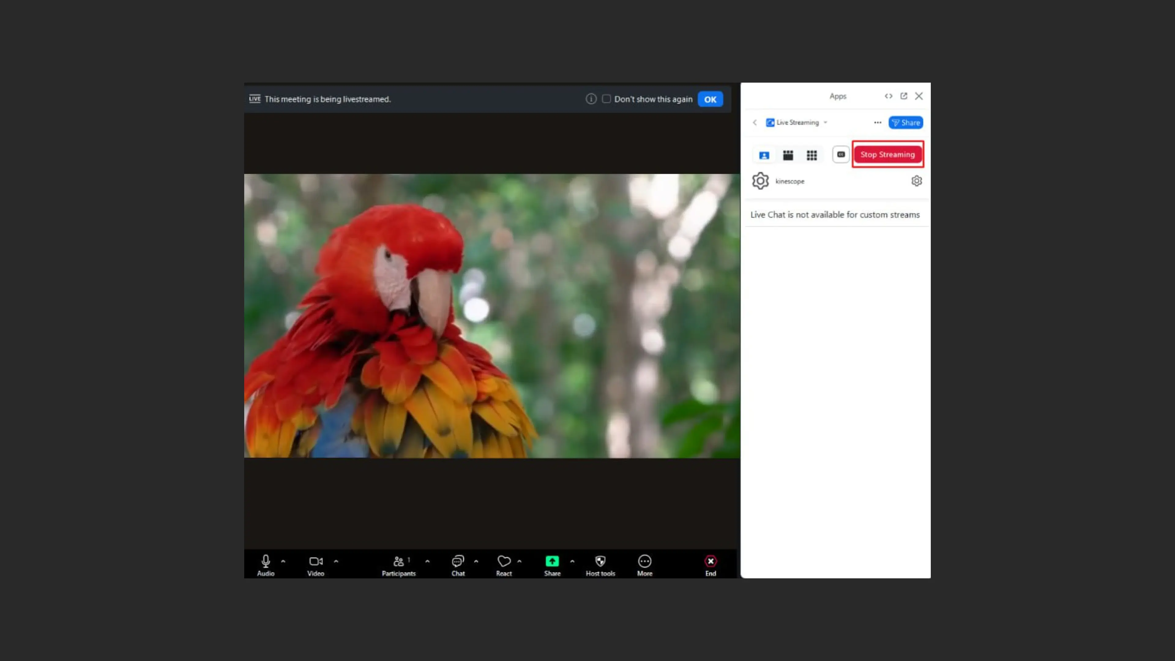 Остановка трансляции в Zoom