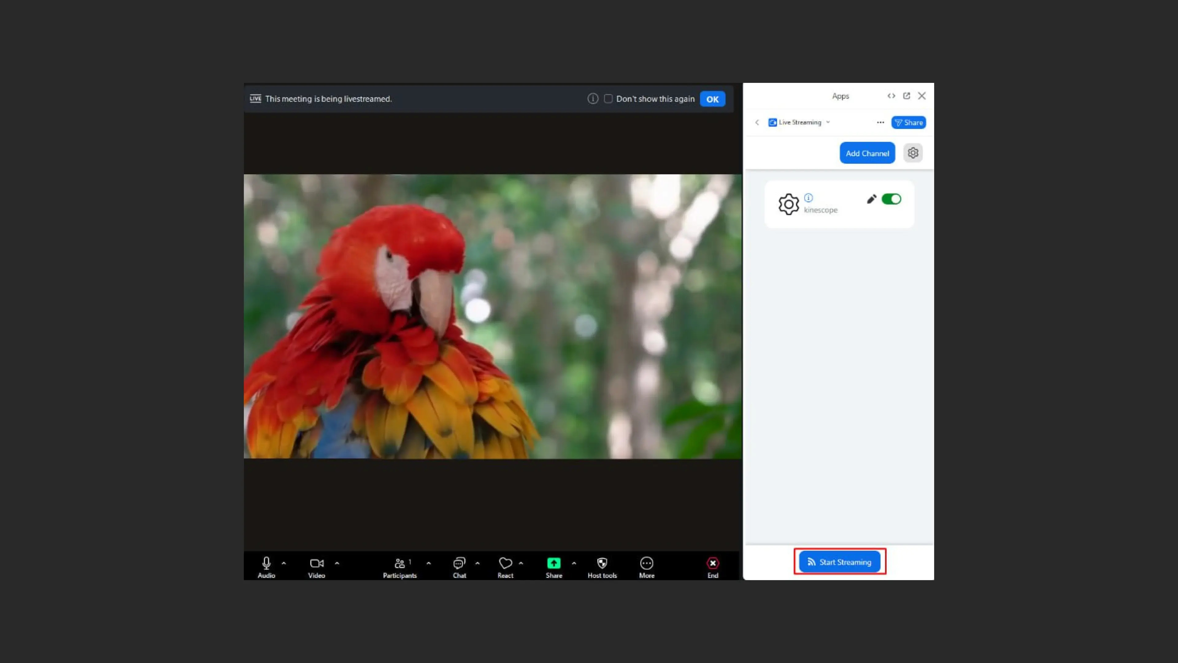 Редактирование настроек трансляции в Zoom