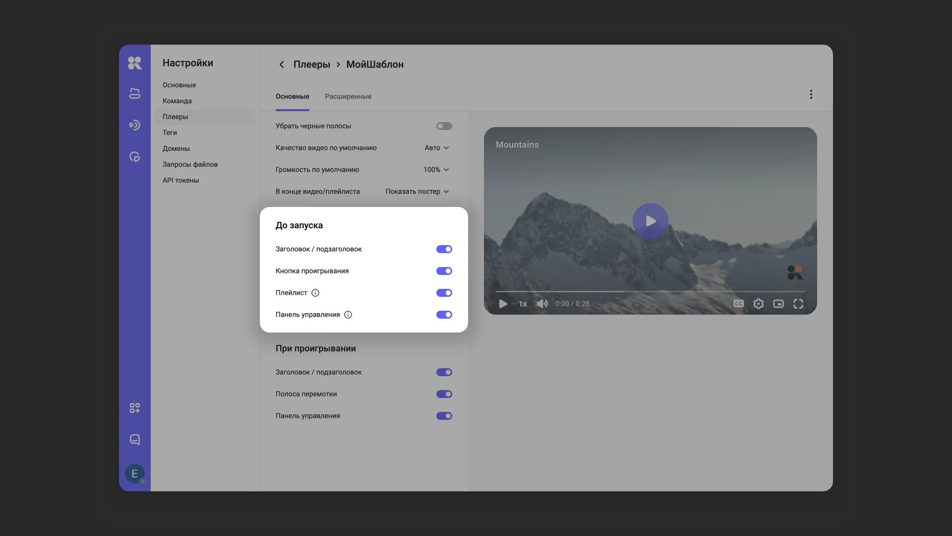 Настройки отображения элементов плеера до начала воспроизведения