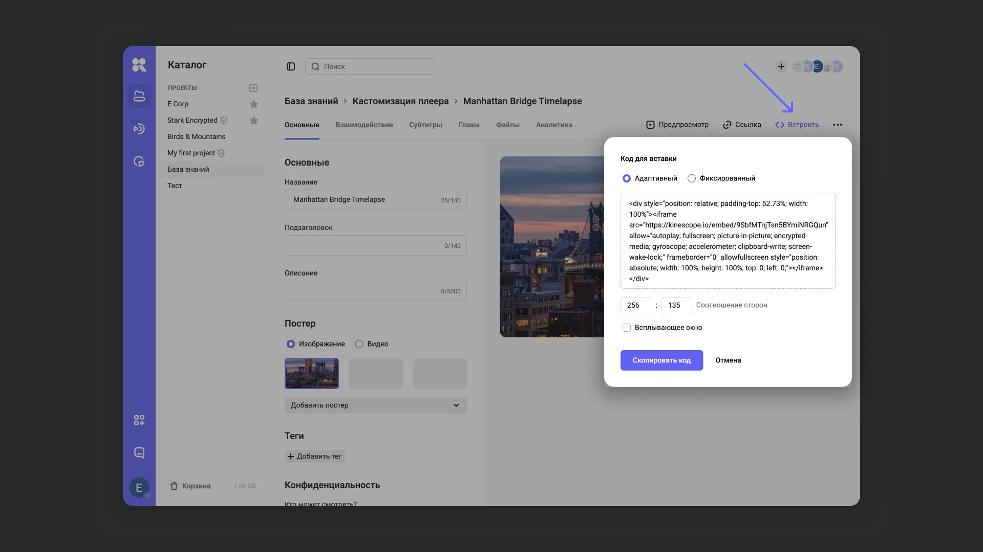Окно выбора типа кода встраивания в настройках видео