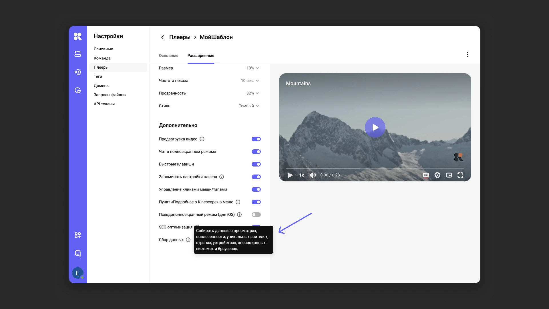 Настройки сбора аналитики и SEO-оптимизации плеера