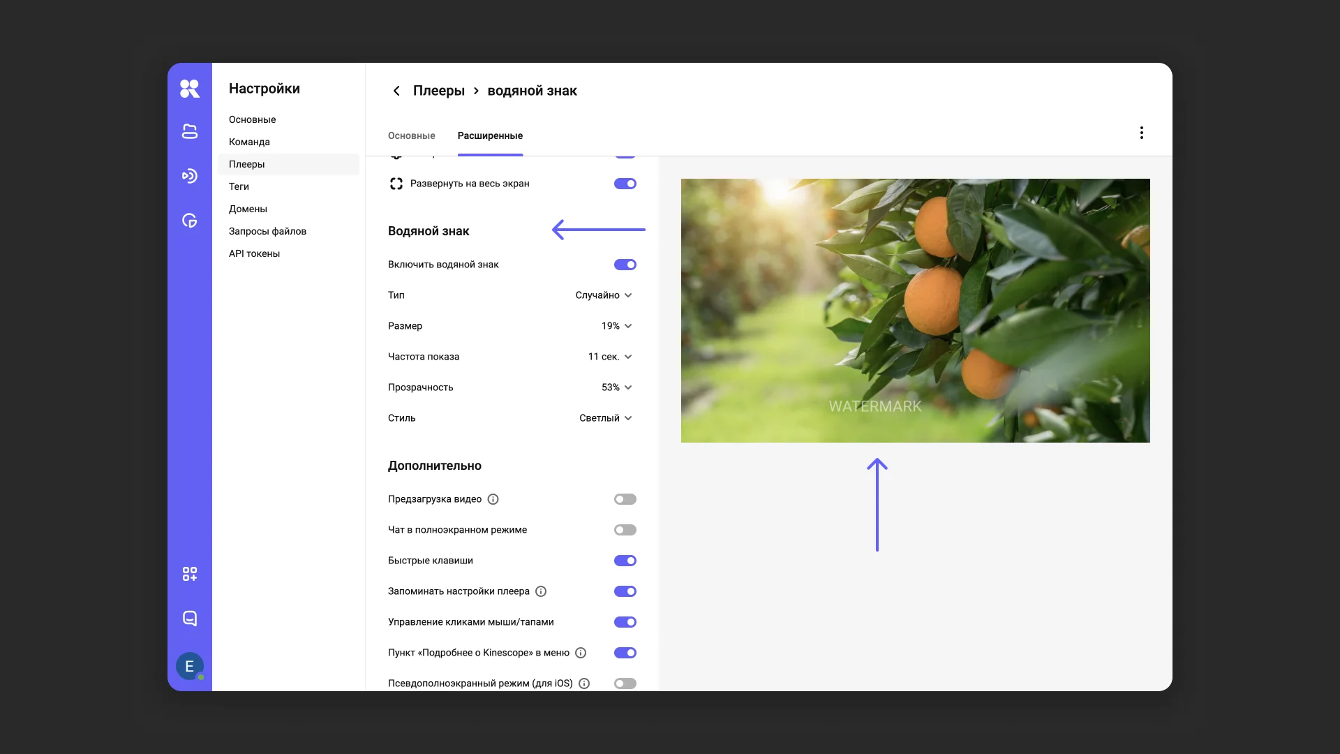 Настройка статического водяного знака в плеере